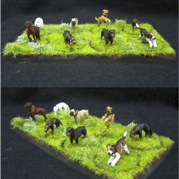 Perros de La Comarca by karavatis