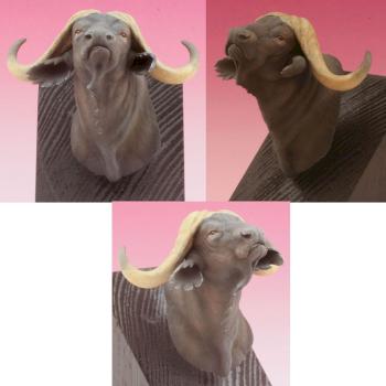 Buffalo Bust by gilles06