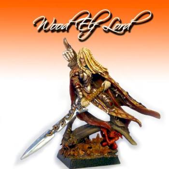 Wood Elf Lord Ira'Silva by Airborne