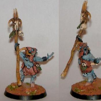 beastman shaman by storm hawk