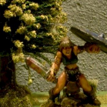Shield Maiden by Ugly Stick