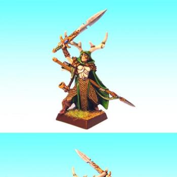 Woodelf Female Lord by Trouble Maker