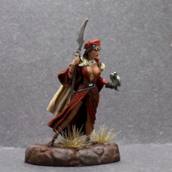Dark Sword FEmale Warrior with Hawk by superbug983