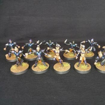 Dark Elf Blood Bowl Team by figurecase