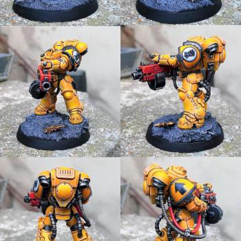 Heavy Intercessor Gunner Imperial Fist Primaris by CerberusXt