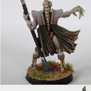 necron lord - other view by F. Duclos