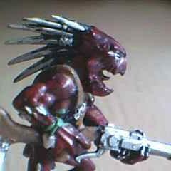 kroot by quentinche