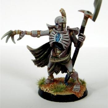 necron lord by F. Duclos