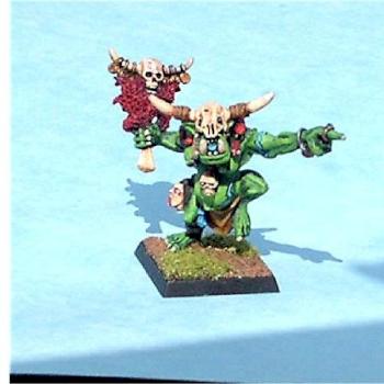 Warhammer Fantasy Orc Shaman by berniesbrush