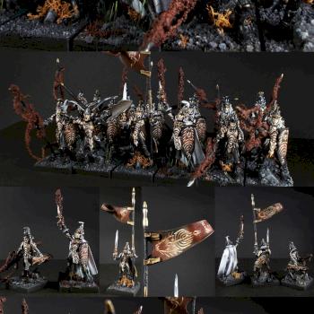 Elves Spearmen aka Soul Impalers by GillianH