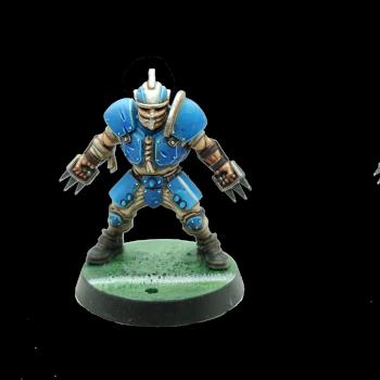 Human Lineman from Blood Bowl by Heilbuth