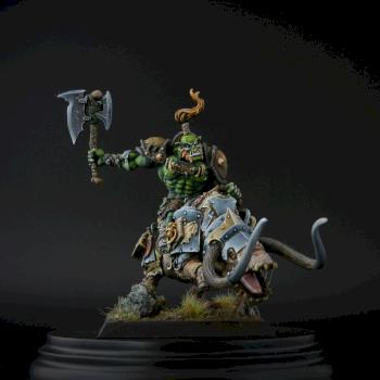 Animistic shaman on brontops by Nüb