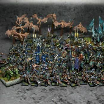 Dark Elves Army by Czopsquad