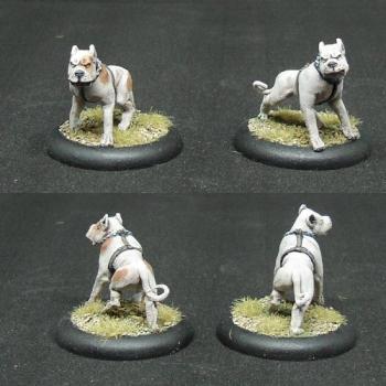 Chiens de la milice by Darachmu