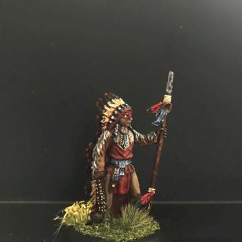 Native American Chief by Chris Larrabee