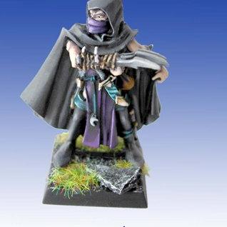 Dark elves Assasin by roman druchii