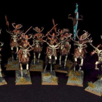 Wood Elves Wild Riders by Awaken Realms