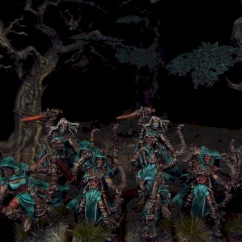 Wood Elves Waywatchers by Awaken Realms