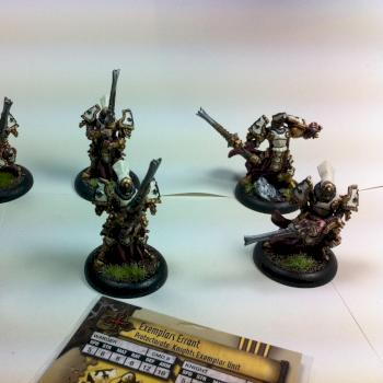 Warmachine Exemplar Errants by Avos