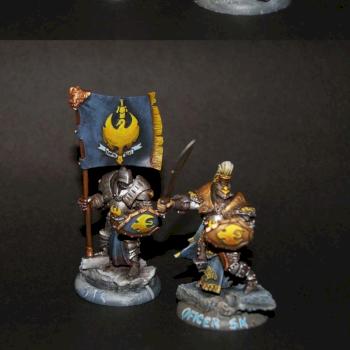 Sword Knights unit attachment (Cygnar) by Meliana AiR