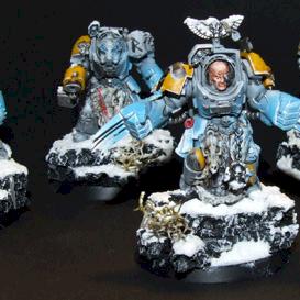 SW Guards by headpoint