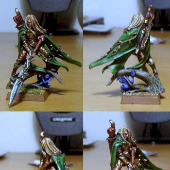 Wood Elf Highborn by WaterGate