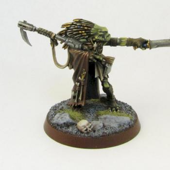 Kroot Shaper by Penitent