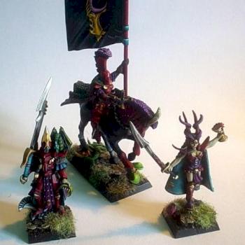 DARK ELVES CHARACTER by WY ZNAWCA