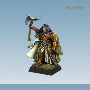High elf hero by aurelio