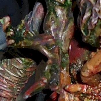 Great Unclean Proxy by Pax-Imperialis