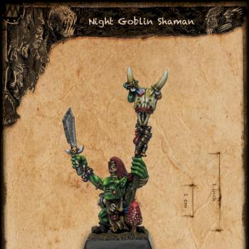 Night Goblin Shaman by Rince