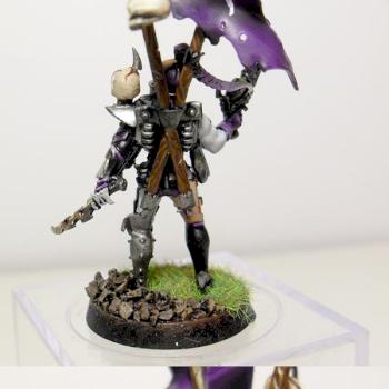 Dark Eldar Haemonculus by liketoshop247