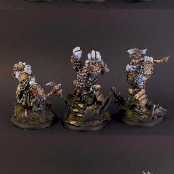 Trollblood Runeshapers Unit by samson