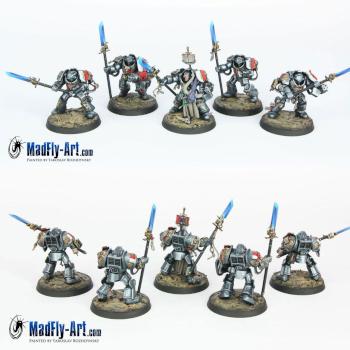 Grey Knight Terminators by MadFlyArtStudio