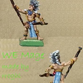 Wood Elves Mage on foot by rroghl