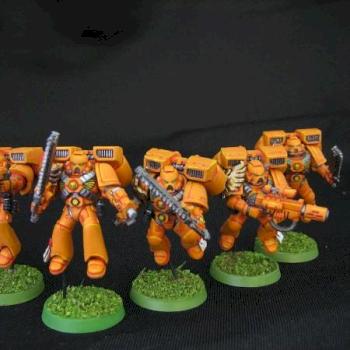 Space Tiger Marines Veteran Assault Squad by Mad Cat