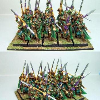 Guarde Eternelle des Elfes Sylvains by sceolan