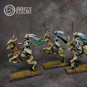 Wood Elves Wild Riders by Awaken Realms