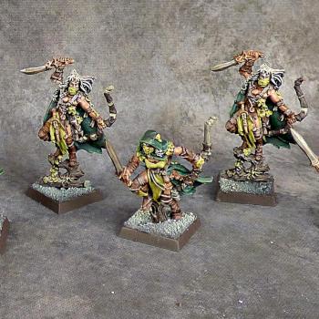 Wood Elves Waywatchers by Awaken Realms