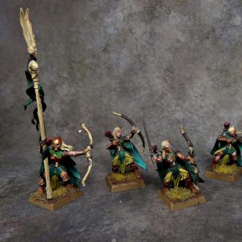 Wood Elves Glade Guards by Awaken Realms