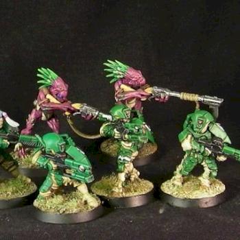 Tau Firewarriors and Kroot by Ardhir