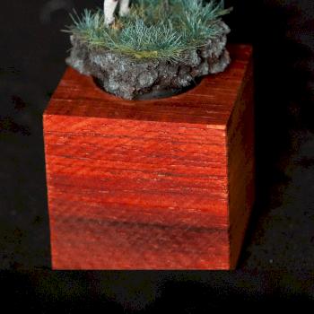 BlaBla from Blacksmith Miniatures by comenius1592