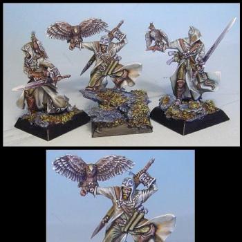 fauconniers d'Alahan by armees de gehenne2