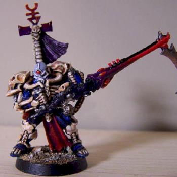 Eldar Exarch by Nate B