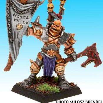 Aspiring Champion Battle Standard Bearer by swirt