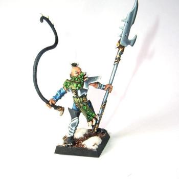 Maitre des bétes elfes noirs by Theloc