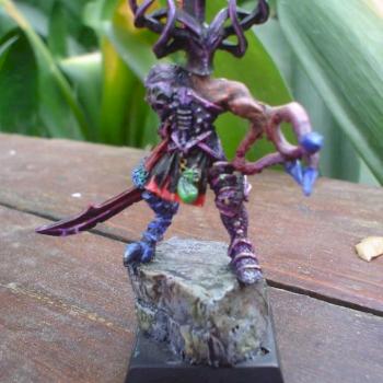 Slaaneshi Champion converted by sybaris slaay