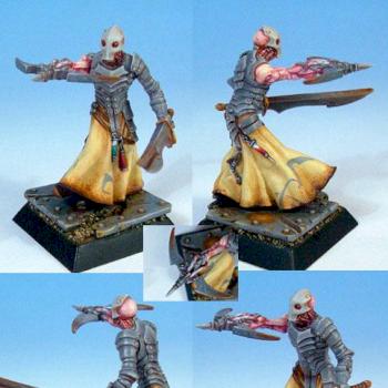 hybrid contest by marga