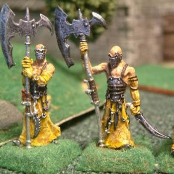 Hallebardiers de Dirz by tephan