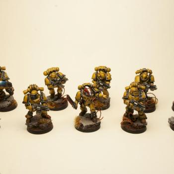 Imperial Fists squad 2 by x2painting